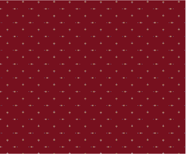 D 101 Bordo