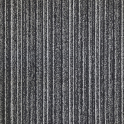 Halley 5009